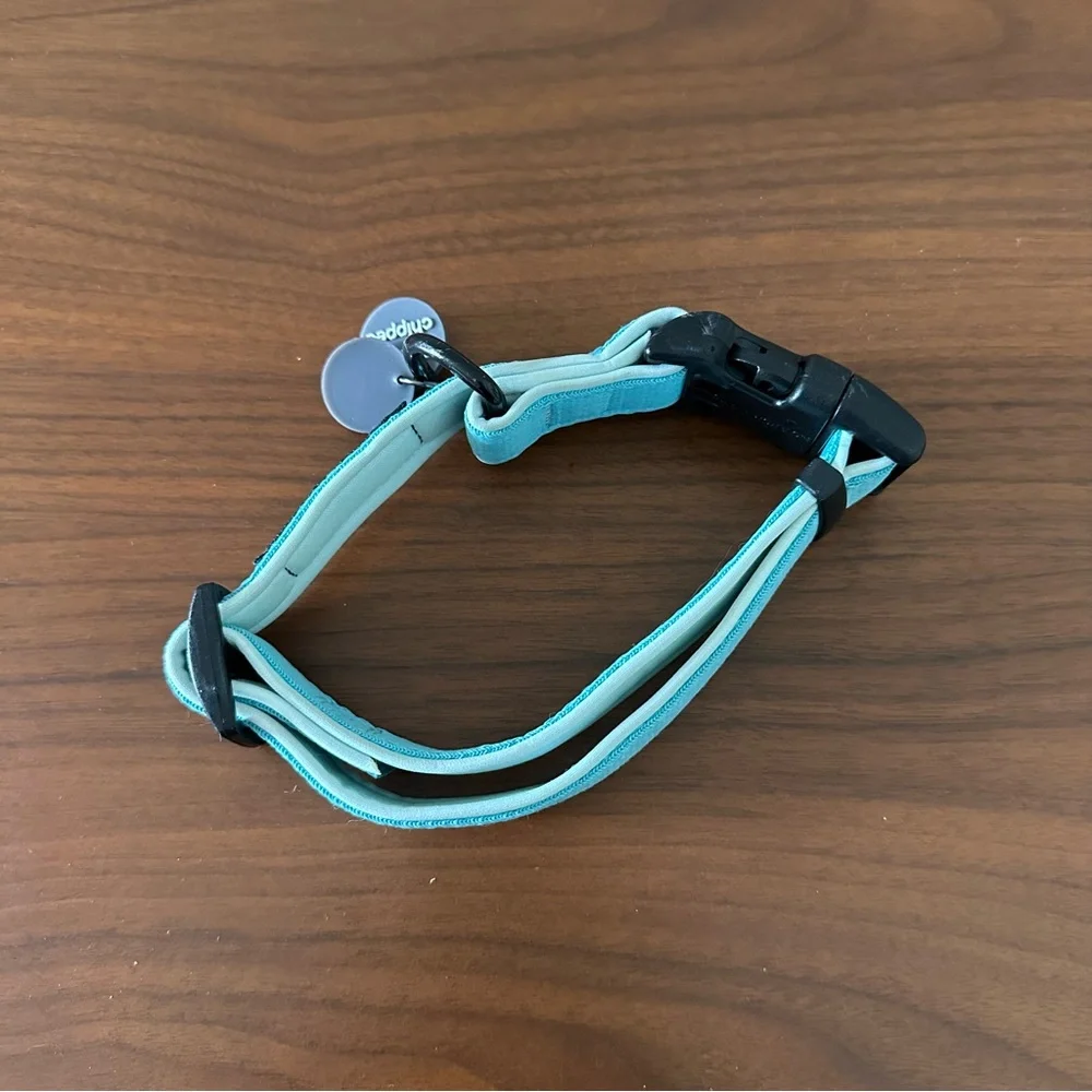 Fog City Pet Light Blue Daily Wear Dog Collar